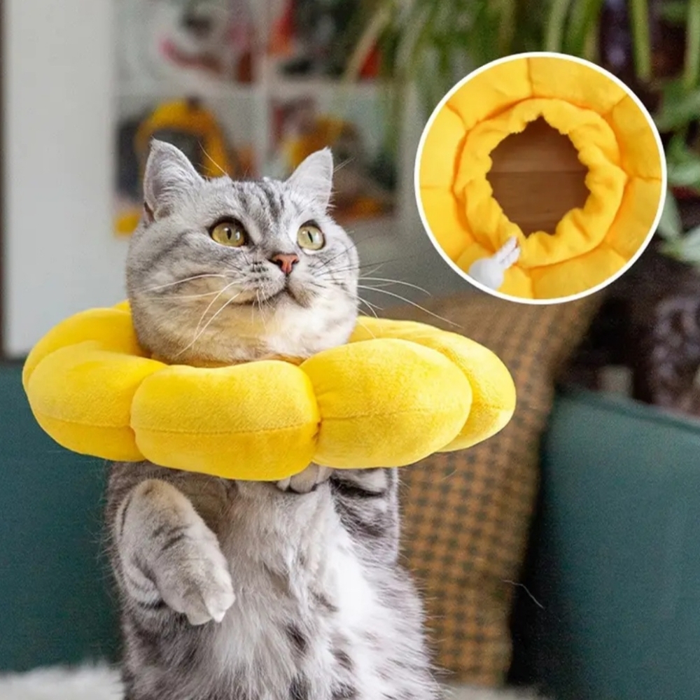 🆕️Adjustable Pet Cone 🐈